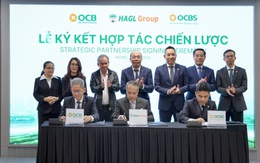 HAGL trở lại thị trường trái phiếu với thương vụ 2.000 tỷ đồng và dấu ấn “kiến trúc sư tài chính” OCBS