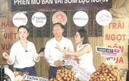 Phó Chủ tịch tỉnh Bắc Ninh livestream bán vải, chốt hơn 31 tấn đơn hàng