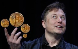 SpaceX của Elon Musk hé lộ số Bitcoin đang nắm giữ ngay trước thương vụ IPO lịch sử