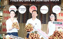 Phó chủ tịch tỉnh livestream bán vải thiều thu hút hàng trăm ngàn lượt xem, chốt 4.830 đơn