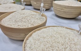 Ngành điều, gạo, rau quả trước quy định nhập khẩu mới của Trung Quốc