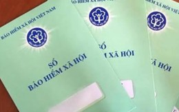 Ký hợp đồng dịch vụ có phải đóng các loại bảo hiểm?