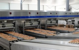 “Cỗ máy” sản xuất 1 triệu quả trứng/ngày của tỷ phú Trần Đình Long: Nuôi 1,2 triệu con gà, vận hành bằng robot châu Âu