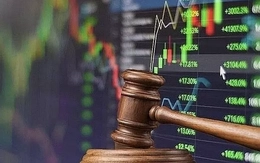 Người nhà của nữ CEO Thép Tiến Lên bị phạt nặng