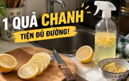 Từ thứ hay bị mốc trong tủ lạnh, chanh giờ trở thành “trợ thủ” số 1 trong căn bếp của tôi: 15 công dụng vừa sạch nhà vừa đỡ tốn tiền