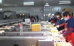 "Đột nhập" nhà máy sản xuất 450.000 quả trứng tươi/ngày, phát hiện "thông tin" về dây chuyền chế biến được đầu tư hơn 193 tỷ đồng