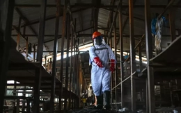 Congo: Khu điều trị bệnh nhân Ebola bị phóng hỏa, 18 ca nghi nhiễm bỏ trốn