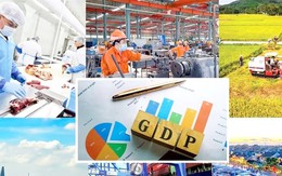 Phân công lãnh đạo Chính phủ theo dõi, chỉ đạo các địa phương thực hiện mục tiêu tăng trưởng kinh tế trên 10%