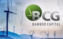 Số phận cổ phiếu Bamboo Capital