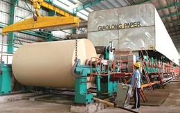 200 đối thủ phải đóng cửa, một công ty lớn trên sàn hưởng lợi