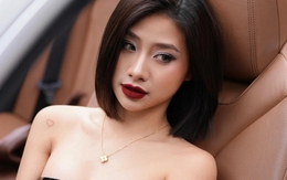Louis Phạm lại bị nghi phông bạt chuyện “mỗi năm một nhà”