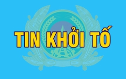 Khởi tố Giám đốc, viên chức Ban Quản lý rừng; Giám đốc, Phó Giám đốc, chủ sở hữu doanh nghiệp