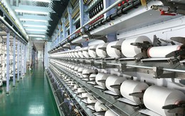 Cổ đông của Sợi Thế Kỷ sắp nhận cổ tức bằng cổ phiếu tỷ lệ 10%