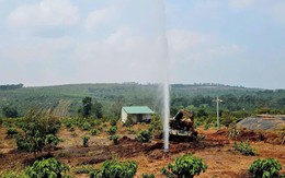 Đào đất, người dân Việt Nam phát hiện cột khí kèm nước phun cao 15m, chuyên gia lập tức vào cuộc