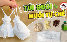 Các “mẹo chống muỗi” đang được nhiều gia đình áp dụng mùa hè này: Có cách chỉ tốn vài nghìn đồng nhưng hiệu quả bất ngờ
