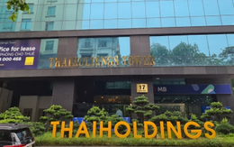 Thaiholdings phát thông báo quan trọng giữa lúc cổ phiếu “làm mưa làm gió” trên sàn chứng khoán