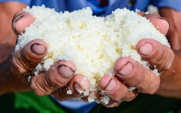 Diêm dân "rang mình" dưới nắng 40 độ, đổi lấy hơn 200 nghìn đồng mỗi ngày