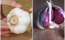 Tỏi vỏ tím hay tỏi vỏ trắng tốt hơn, Tỏi vỏ tím, tỏi vỏ trắng