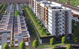 Vì sao Vạn Khởi Thành bị xử phạt?