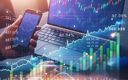 Xử phạt CMC, VNECO2 vì vi phạm về chứng khoán