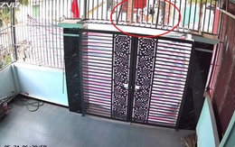 Ngủ dậy thấy cổng bị che bạt kín, người phụ nữ Thanh Hóa vội xem camera thì phát hiện sự thật xúc động