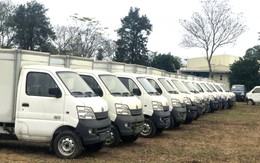 Doanh nghiệp ô tô lớn nhất sàn chứng khoán bán đấu giá 141 xe ô tô tải, giá khởi điểm trung bình hơn 66 triệu/xe
