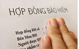Người mua bảo hiểm nhân thọ bị công ty từ chối chi trả quyền lợi trong những trường hợp sau