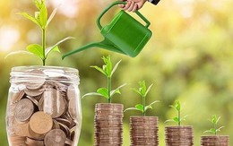 Một công ty chốt ngày trả cổ tức tiền mặt tỷ lệ 20,22%
