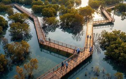 Cú chuyển mình thần kỳ của Hạ Long: Sắp có công viên câu cá lớn nhất thế giới, rộng gấp 45 lần sân Mỹ Đình, quy mô lên đến 800 ha