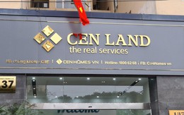 Tổng Giám đốc Cen Land không "gom" hết cổ phiếu CRE như đăng ký