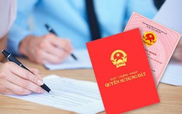 Khởi tố Nguyễn Thị Phiến SN 1965