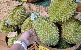 Giá sầu riêng tại vườn “chạm đáy”, vì sao giá bán lẻ vẫn cao?