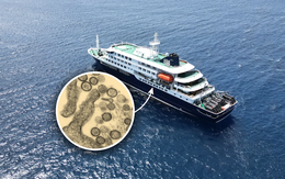 Du thuyền chở 147 người mắc kẹt trên biển vì bùng phát virus hiếm gặp, 3 người đã tử vong: WHO điều tra khẩn