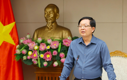 Phó Thủ tướng yêu cầu mở "chiến dịch ngày đêm" làm sạch dữ liệu đất đai