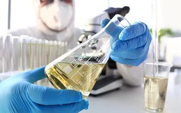 Sau nhiều năm, Nga tìm ra công thức để đuổi kịp châu Âu, biến thứ bỏ đi thành món hàng "đắt như tôm tươi"