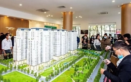 Quy định đánh đố, nghịch lý 'cải lùi' giữa thời đại số hóa toàn diện
