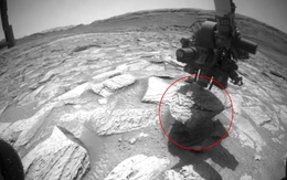 Suýt mất trắng hàng trăm triệu USD: NASA giải cứu tàu Curiosity khỏi sự cố tồi tệ nhất trên Sao Hỏa