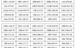 909 chủ xe máy, ô tô mang biển số sau khẩn trương nộp phạt nguội theo Nghị định 168 của Chính Phủ