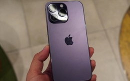 4 mẫu iPhone cũ đáng mua nhất hiện nay