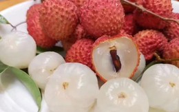 Sản lượng vải thiều dự kiến giảm khoảng 50% so với năm ngoái