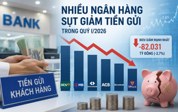 Nhiều ngân hàng tư nhân lớn bị sụt giảm tiền gửi hàng chục nghìn tỷ đồng trong quý đầu năm