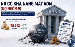 Các ngân hàng có hơn 168.000 tỷ nợ có khả năng mất vốn: Lần đầu tiên xuất hiện nhà băng nắm trên 30.000 tỷ đồng nợ nhóm 5