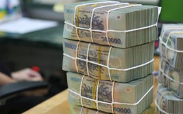 Ngân hàng trả cổ tức tiền mặt cao nhất năm 2026 sẽ lăn chốt vào tuần tới