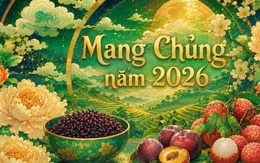 Mang Chủng là gì?