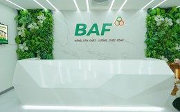 Baf Việt Nam thâu tóm thêm doanh nghiệp chăn nuôi tại Quảng Trị