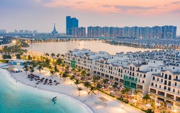 Vinhomes cơ cấu danh mục công ty con