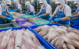 Việt Nam đón tin vui cùng lúc từ Hàn Quốc và Nhật Bản