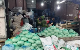 TPHCM: Bắt 4 người sản xuất, bán ra thị trường hơn 1.000 tấn giá đỗ ngâm hóa chất cấm
