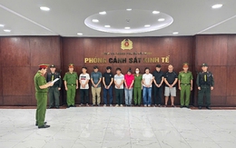 Khởi tố chủ cơ sở Phan Dương Khánh Ly SN 1992 và nhiều cán bộ kiểm lâm
