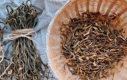 10 loại rau này đem phơi khô còn thơm ngon hơn cả thịt: Bạn đã biết cách phơi khô bao nhiêu loại rồi?